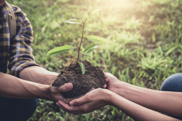 engagement environnemental ReforestAction - Plantons un arbre